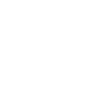 Festival Vier Striche