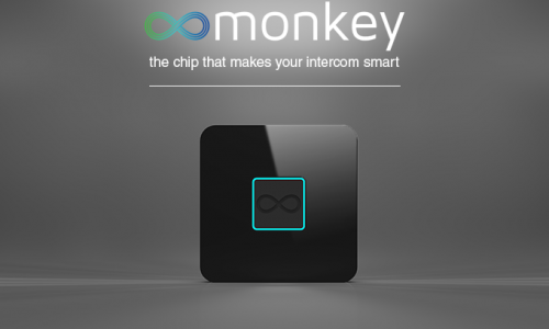 monkey