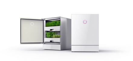 plantcube by agrilution