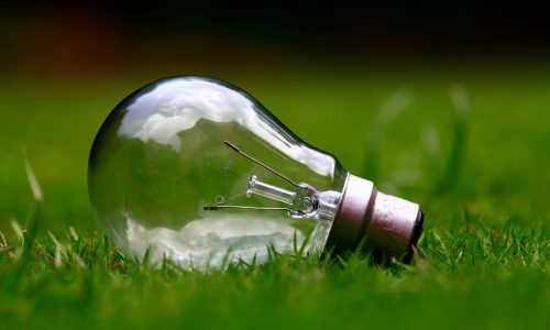 light bulb on lawn