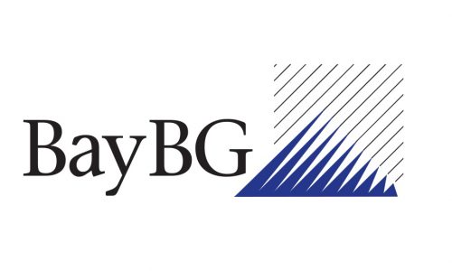 BayBG Investment Company