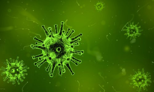Immunic Research Funding