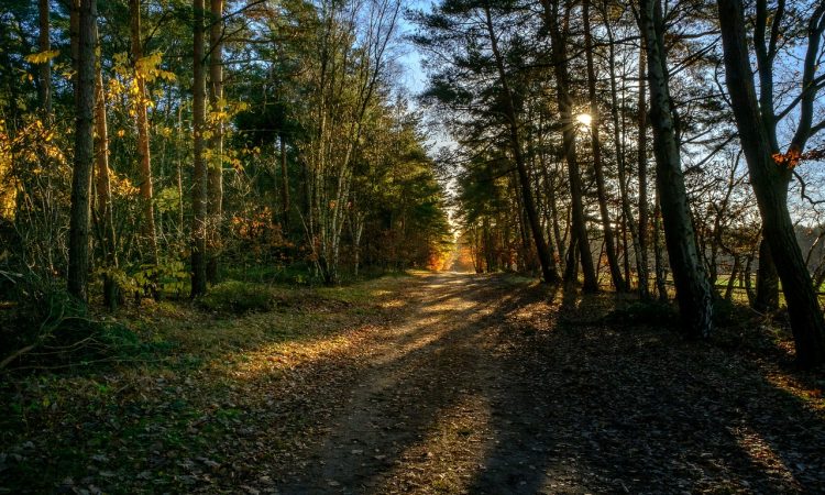 Federal Ecodesign Prize