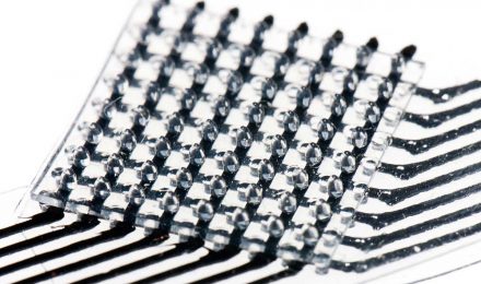 Die tacterion Sensoren sind robust und extrem elastisch 