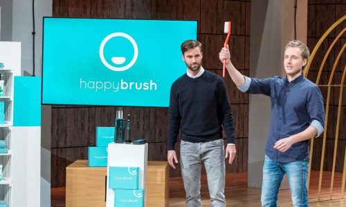 happybrush at DHDL