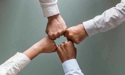 EU joins Coparion