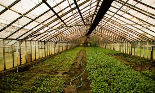 Osram Fluxunit invests in Canadian startup