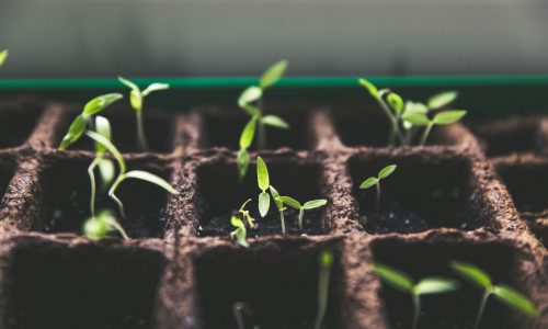 Holtzbrinck Ventures Seed Program
