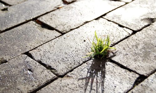 Urban sustainability
