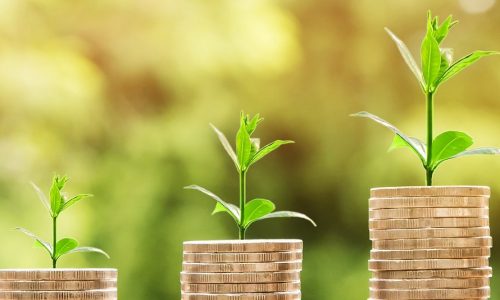 Equity capital market, investment, grant