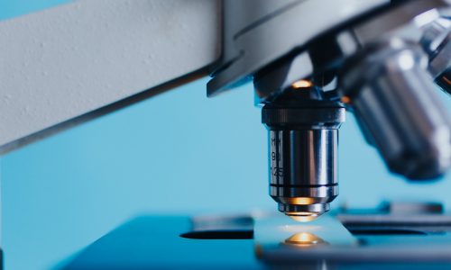 Deutscher Biotechnologie-Report 2019 Biotech