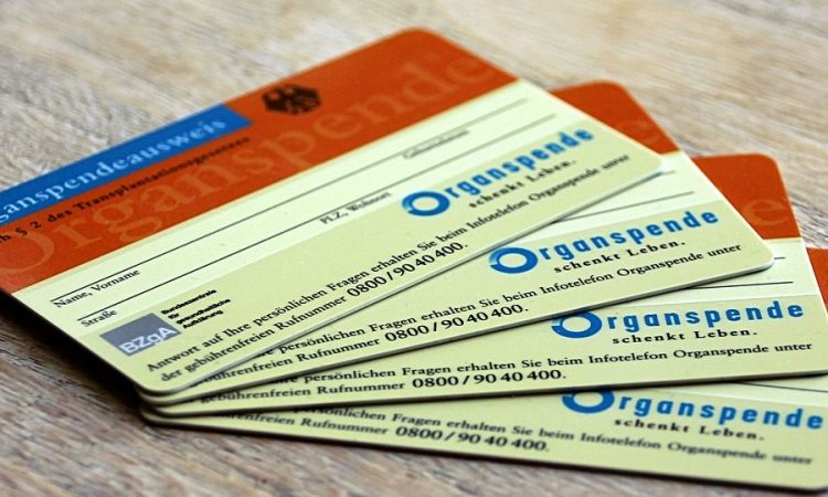 Wettbewerb Organersatz aus dem Labor