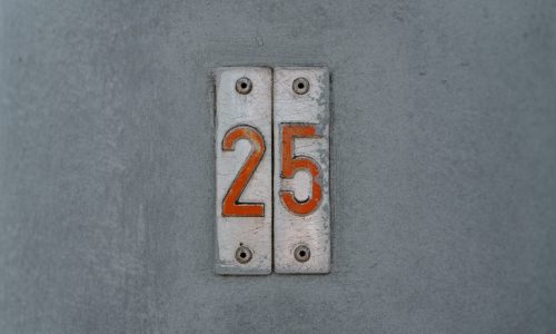 25 Innovation program for business models and pioneering solutions