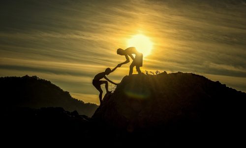 Start-up support