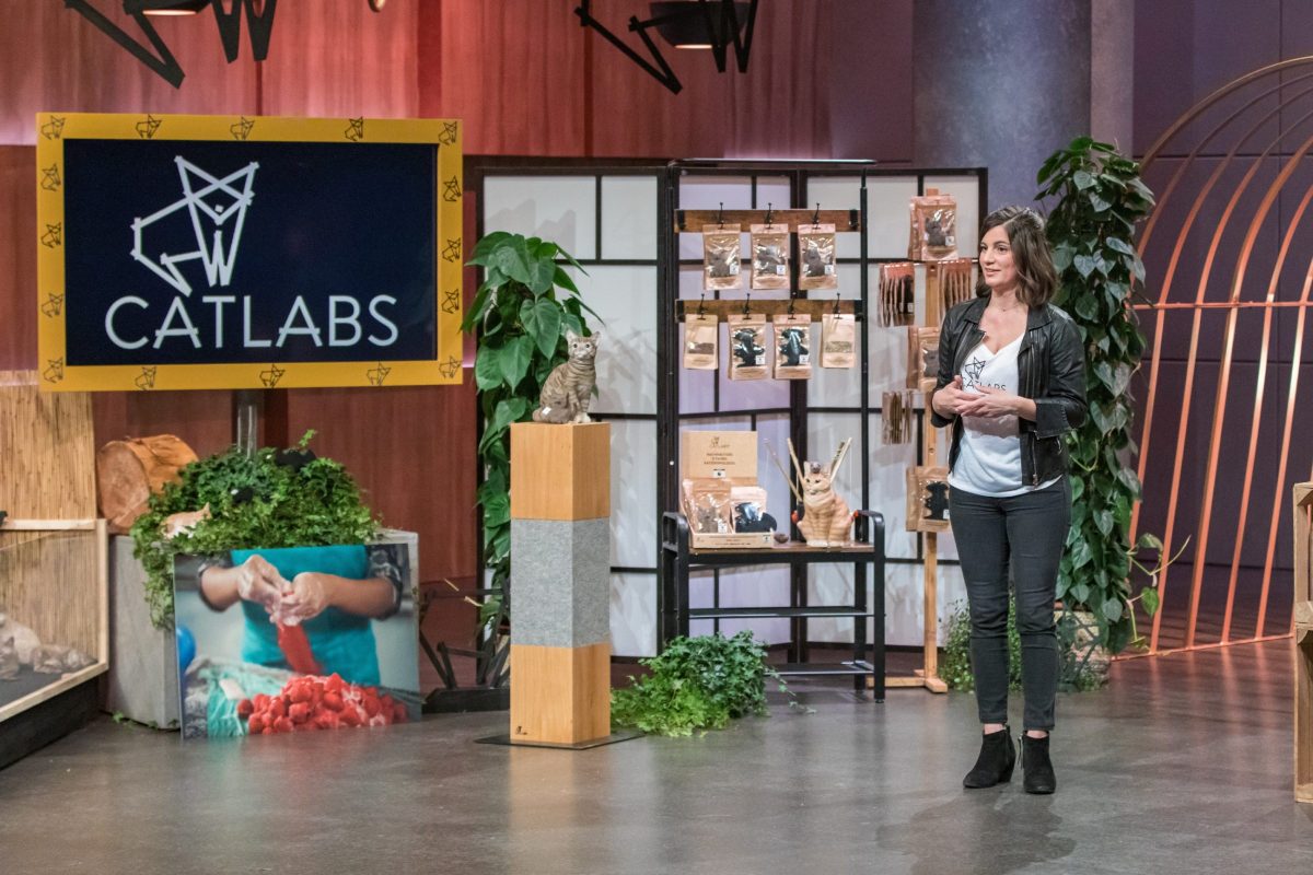 Catlabs founder Katharina Bickel in the 'Lion's Den'
