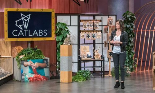 Catlabs founder Katharina Bickel in the 'Lion's Den'