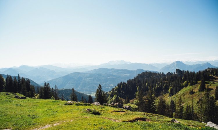 Bayerischer Klimaschutzpreis