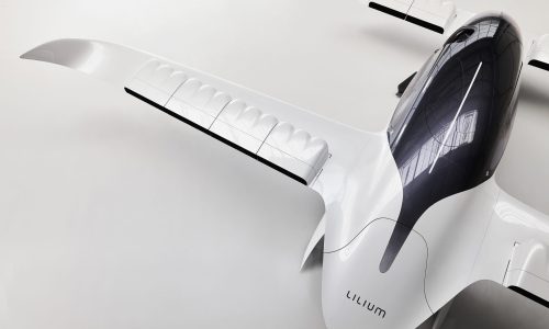 Lilium