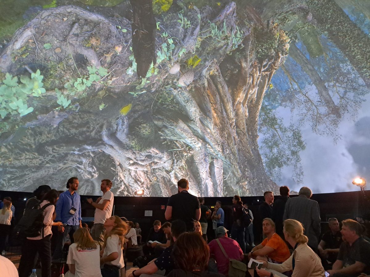 Festival of the Future