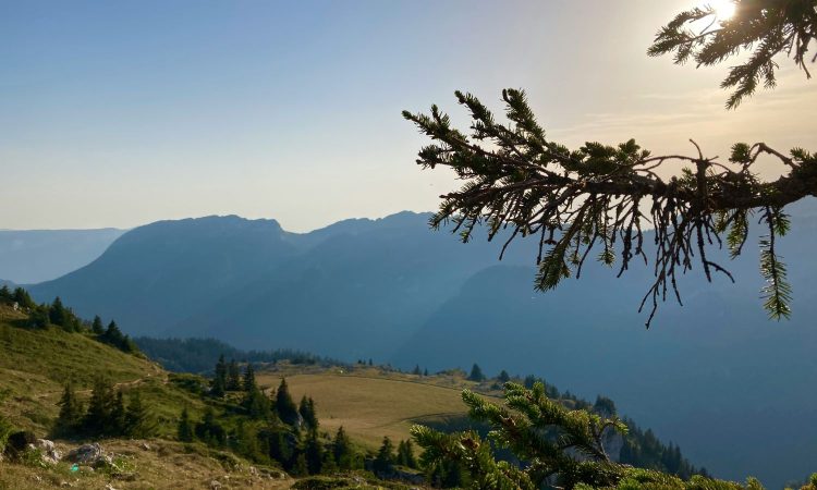 Green Startup Report 2026