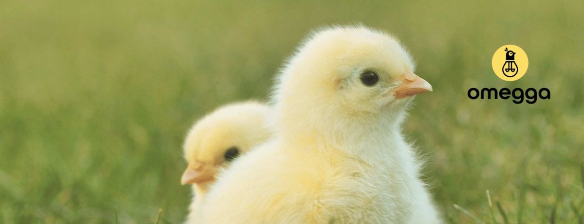 Omegga GmbH