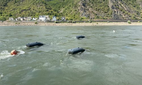 Energyminer Energyfische im Rhein